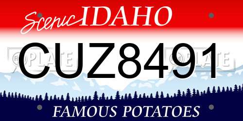 CUZ8491 Idaho License Plate