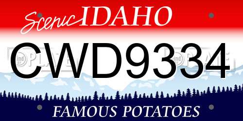 CWD9334 Idaho License Plate
