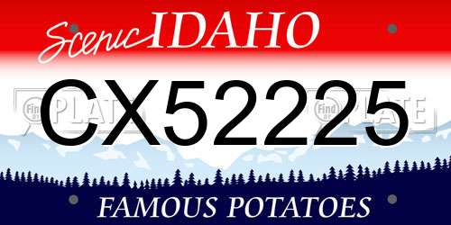 CX52225 Idaho License Plate