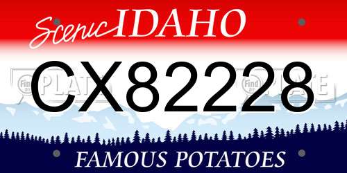 CX82228 Idaho License Plate