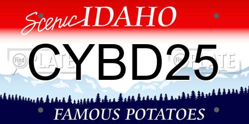 CYBD25 Idaho License Plate