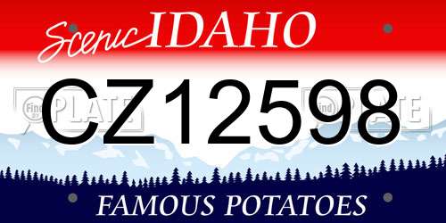 CZ12598 Idaho License Plate