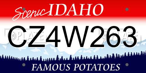 CZ4W263 Idaho License Plate