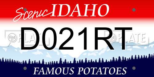D021RT Idaho License Plate