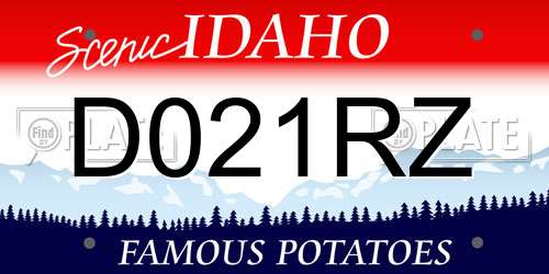 D021RZ Idaho License Plate