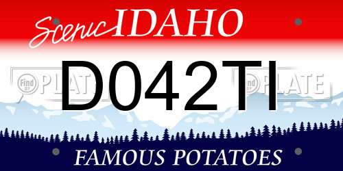 D042TI Idaho License Plate