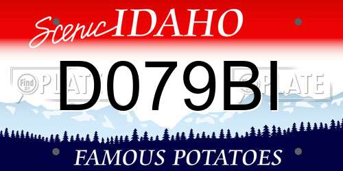 D079BI Idaho License Plate