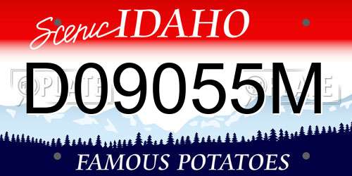 D09055M Idaho License Plate