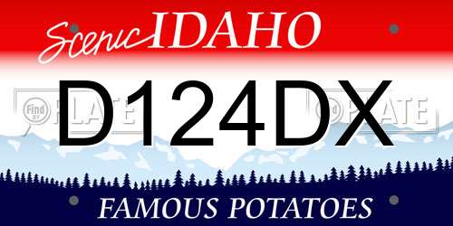 D124DX Idaho License Plate