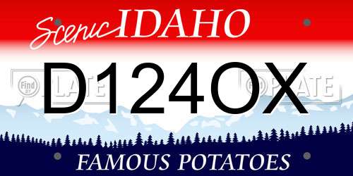 D124OX Idaho License Plate