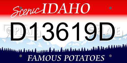 D13619D Idaho License Plate