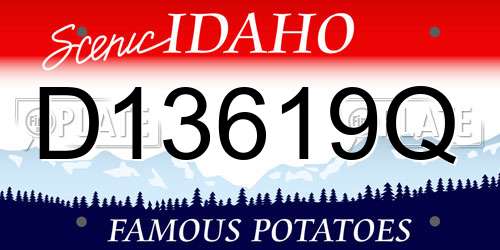 D13619Q Idaho License Plate