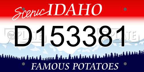 D153381 Idaho License Plate