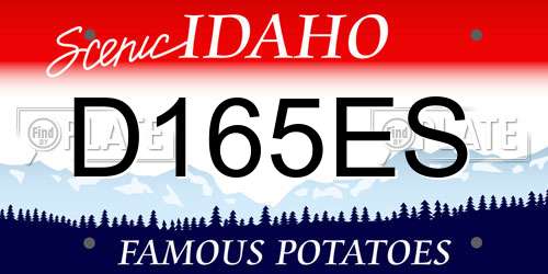 D165ES Idaho License Plate