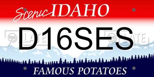 D16SES Idaho License Plate
