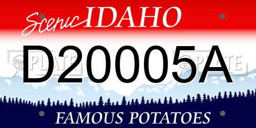 D20005A Idaho License Plate