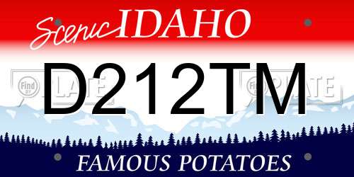 D212TM Idaho License Plate