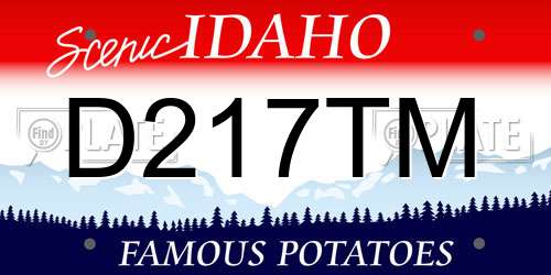 D217TM Idaho License Plate