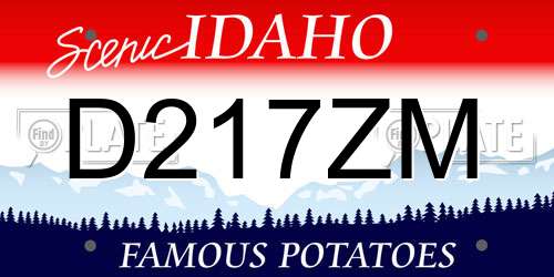 D217ZM Idaho License Plate