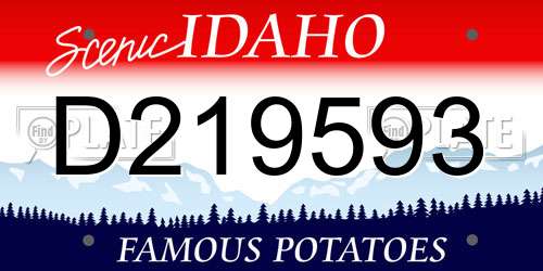 D219593 Idaho License Plate