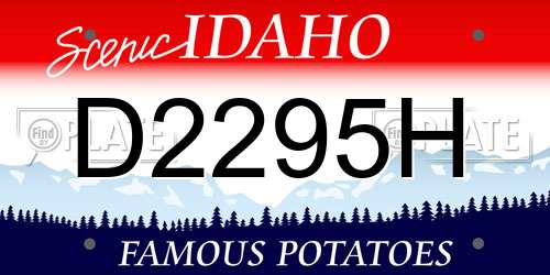D2295H Idaho License Plate