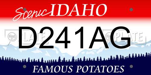 D241AG Idaho License Plate