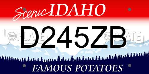 D245ZB Idaho License Plate