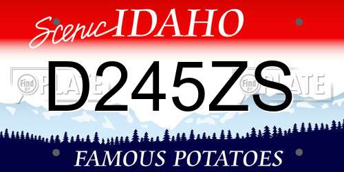 D245ZS Idaho License Plate