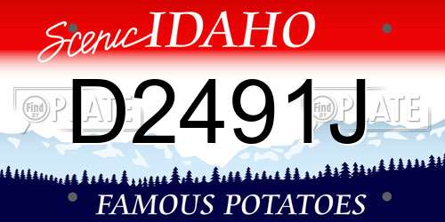 D2491J Idaho License Plate