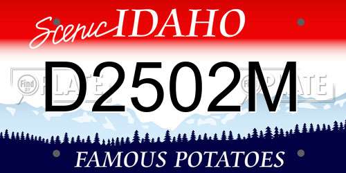 D2502M Idaho License Plate