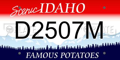 D2507M Idaho License Plate