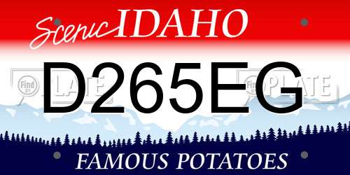 D265EG Idaho License Plate