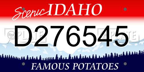 D276545 Idaho License Plate
