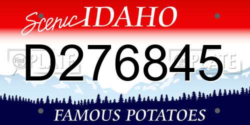 D276845 Idaho License Plate