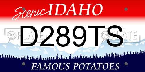 D289TS Idaho License Plate