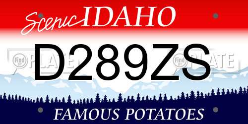 D289ZS Idaho License Plate