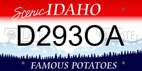 D293OA Idaho License Plate