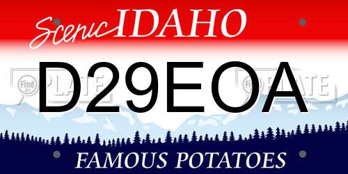 D29EOA Idaho License Plate