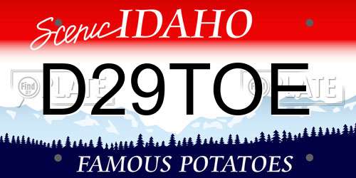 D29TOE Idaho License Plate