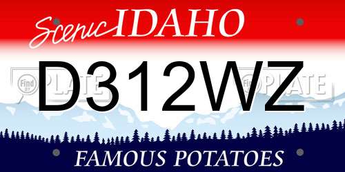D312WZ Idaho License Plate
