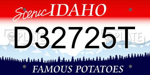 D32725T Idaho License Plate