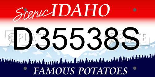 D35538S Idaho License Plate