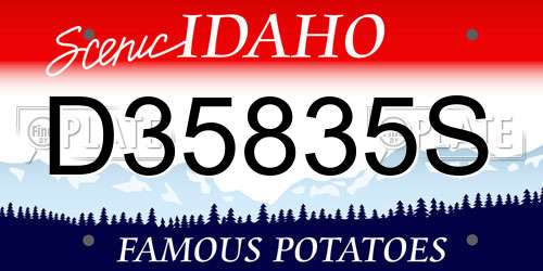 D35835S Idaho License Plate