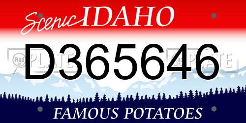 D365646 Idaho License Plate