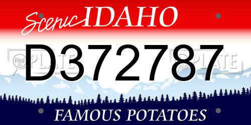 D372787 Idaho License Plate