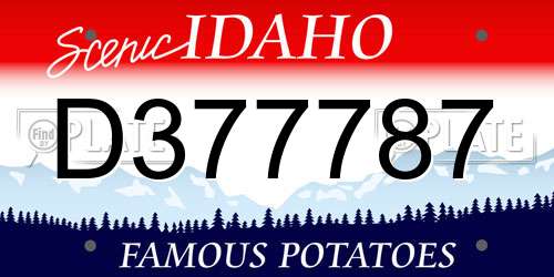 D377787 Idaho License Plate
