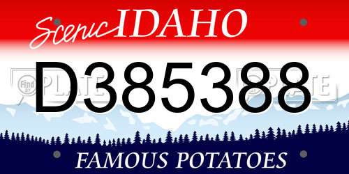 D385388 Idaho License Plate