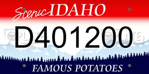 D401200 Idaho License Plate