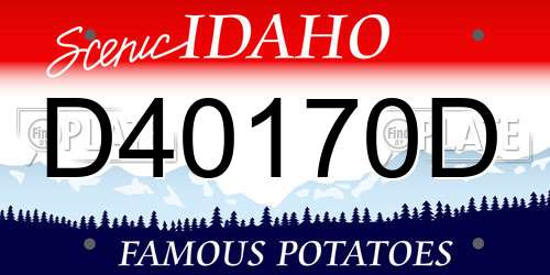 D40170D Idaho License Plate