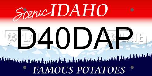 D40DAP Idaho License Plate